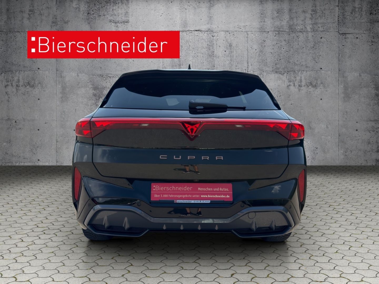 Cupra Terramar - Bild 6
