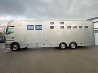 Mercedes-Benz Actros 2644 5 Pferde  Pop-Out, Pop-Up