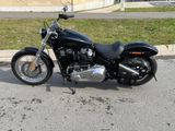 Harley-Davidson FXST Softail Standard/J&H/Umbauten/Service neu - Offers matching your search criteria