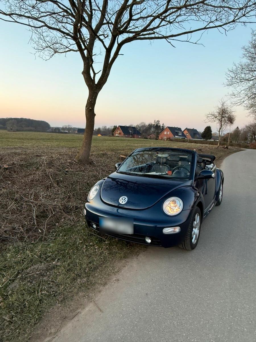 Volkswagen New Beetle