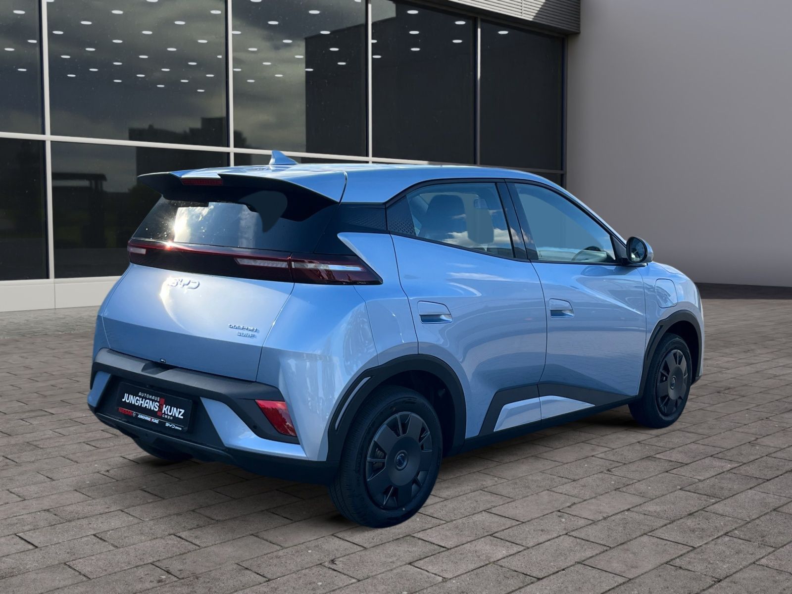 BYD DOLPHIN SURF