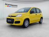 Fiat Panda 1.0 Mild Hybrid Pandina Icon - Fiat Panda Jahreswagen