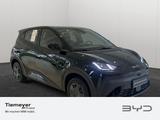 BYD DOLPHIN SURF Active - BYD: Kleinwagen