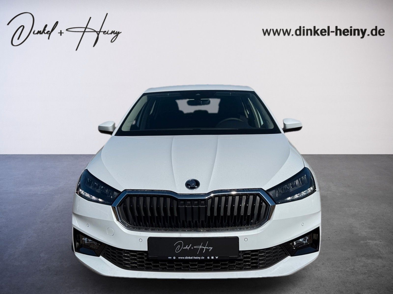 Fahrzeugabbildung SKODA Fabia Selection 1.0TSI