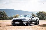Ford Mustang 5.0 V8 Black Shadow 1. Hand Checkheft!!