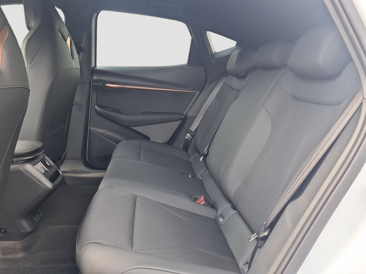 Cupra Tavascan - Bild 9