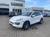 Porsche Cayenne Diesel Platinum Edition-PANORAMA - Porsche Cayenne in Braunschweig