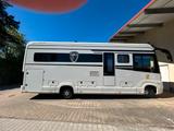 Morelo Loft 82 LB