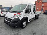 Fiat Ducato Maxi Pritsche Doppelk. 35 150 L5 P - Fiat Ducato: 15