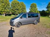 Volkswagen T6.1 California Beach Vollauszug Hundebox