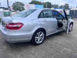 Mercedes-Benz E 350 CGI BlueEFFICIENCY ELEGANCE ELEGANCE - Mercedes-Benz E 350 in Krefeld