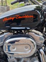 Harley-Davidson Sportster XL 883 Super Low - Offers matching your search criteria