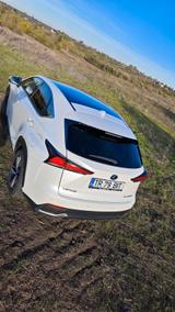 Lexus NX 300 300h E-FOUR Luxury Line Luxury Line - weiße Lexus NX-Serie