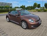 Volkswagen Beetle 1.4 TSI BMT ALLSTAR Cabriolet ALLSTAR - Volkswagen Beetle in Essen