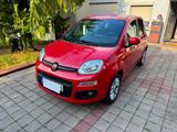 Fiat  Panda 1.Hand | 7600km! | TÜV NEU | TOP gepfl.  - Fiat Panda Kleinwagen Km h mit Benzin-Antrieb