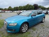 Audi A5 2.0 TDI Navi Xenon - Audi A5 bis 5.000 Euro