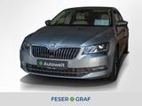 Skoda Superb 2.0 TDI L&K DSG Memory Sitze / ACC - Skoda Superb mit Benzin-Antrieb: Limousine, 2.0