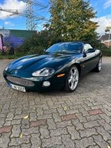Jaguar XK8 Cabriolet -4,2l British Racing Green  - Jaguar XK8: Cabrio