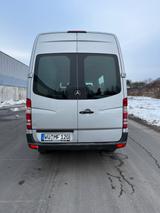 Mercedes-Benz Sprinter 313 CDI L2H2 / TÜV NEU! - : Van, Mercedes