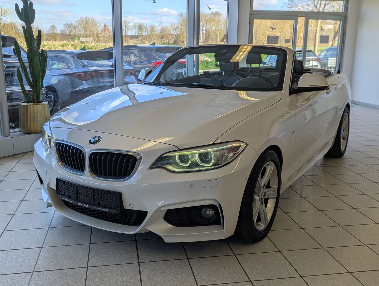 Fahrzeugabbildung BMW 220 d M-Sport-Paket Leder Bi-Xen Navi HiFi