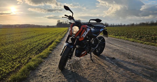 KTM Duke 125ccm aus 2014 mit ABS (A1)