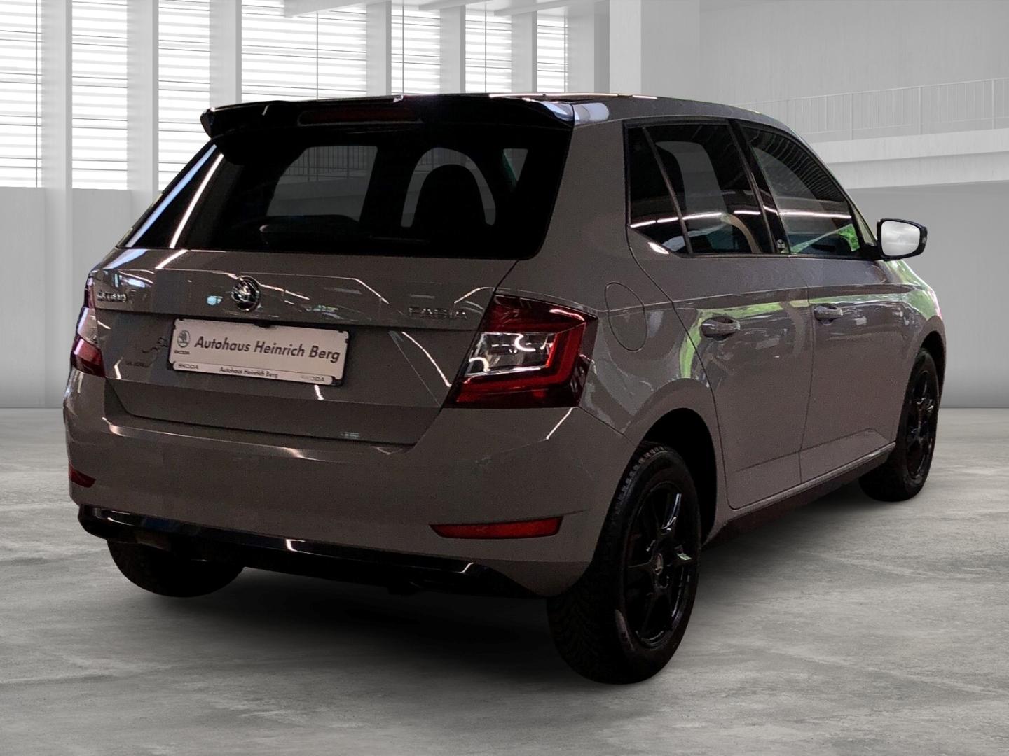 Skoda Fabia Monte Carlo 1.0 TSI LED Sperrdiff. Apple C