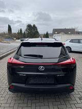 Lexus UX 250h Edition Style 4x4 - Lexus aus 2021