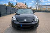 Volkswagen VW Beetle Cabrio 1.8 TSI|TÜV Neu|Keyless G... - Volkswagen Beetle mit Benzin-Antrieb: 1.8