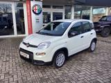 Fiat Panda Pandina 1.0 GSE 52kW Hybrid Klima, DAB - Fiat Panda Gebrauchtwagen in Hannover
