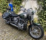 Harley-Davidson FXSTSSE 3 Softail Springer CVO Bj. 2009 - HARLEY-DAVIDSON SPRINGER SOFTAIL