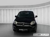 Fiat Panda Base DAB Berganfahrass. Klima BT teilb.Rüc - gebrauchte Fiat Panda aus dem Jahr 2023