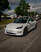 Tesla Model 3 Performance - gepflegt, sofort verfügbar - Tesla Model 3 in Augsburg