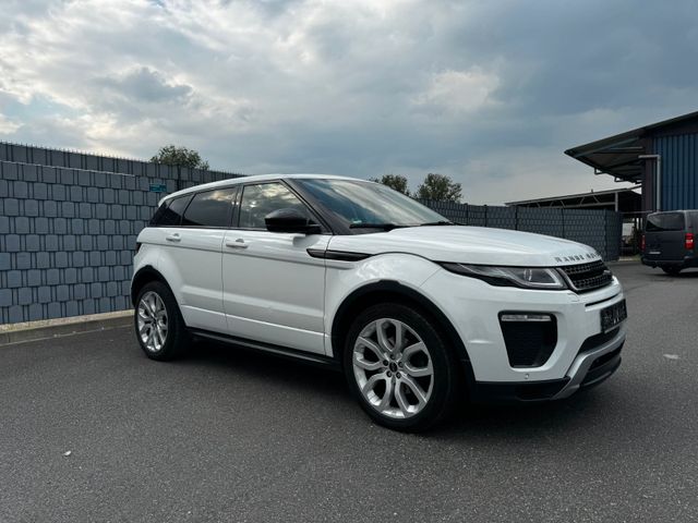 Land Rover Range Rover Evoque TD4 Dynamic/PANO/LEDER/MERIDI