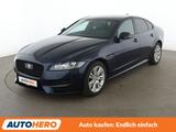 Jaguar XF 25d R-Sport AWD Aut.*NAVI*VC*XENON*ACC*CAM* - Jaguar Gebrauchtwagen in Dresden
