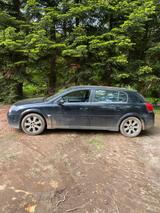 Opel Signum - Opel Signum: Kleinwagen