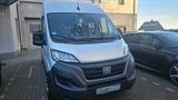 Fiat Ducato Luxusbus Panorama 33 140 L2H2 8-Sitzer - Angebote