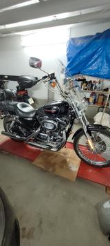Harley-Davidson Sporster 1200 XL Custom - HARLEY-DAVIDSON XL 1200 CUSTOM