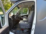 Peugeot Boxer MSG Stablehopper Pferdetransporter 3,5t - graue Peugeot Boxer