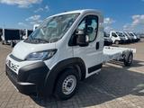 Fiat Ducato 35 Maxi Fahrgestell L3 180 MT E6