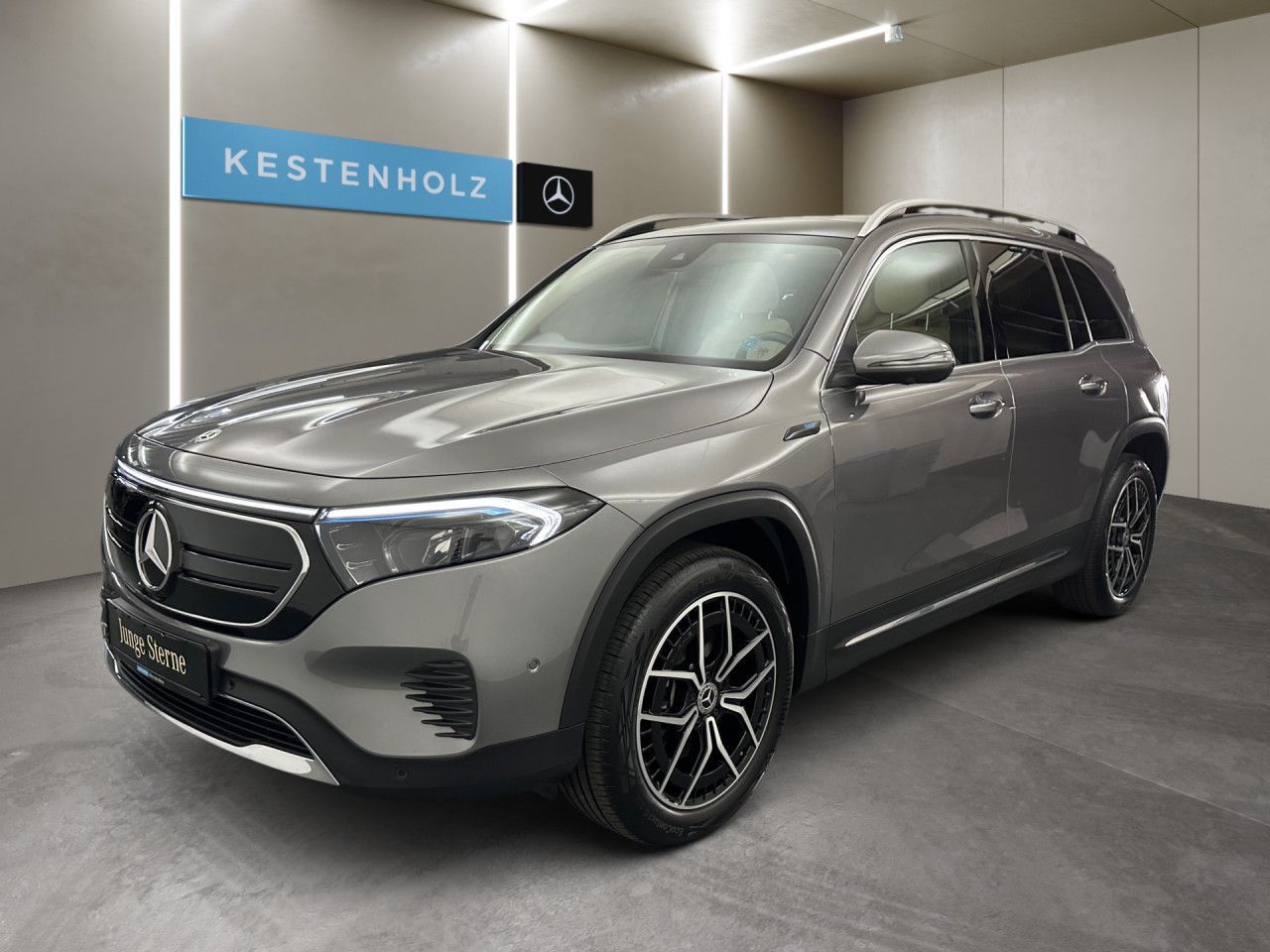 Mercedes-Benz EQB 250 Pano LED Keyl-GO Kamera Laderaump PTS imagem 2