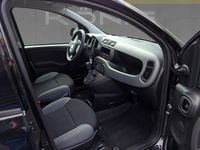 Fiat Panda - Vorschau Bild 6