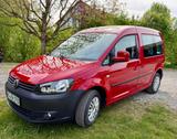 Volkswagen Caddy Soccer Trendline TÜV NebelSchwf SZHZG  - Volkswagen Caddy: Soccer Trendline