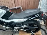 Suzuki SFV 650 Gladius - SUZUKI 650