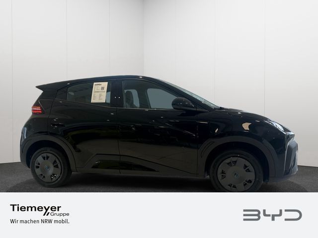 BYD DOLPHIN SURF