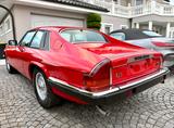 Jaguar XJS V12 Coupe 1986-TÜV und H-Zulassung - Jaguar Gebrauchtwagen von 1986