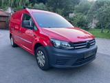 Volkswagen Caddy Nfz Maxi Kasten BMT / Klima / Navi