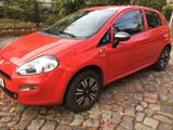 Fiat Punto 1.2 8V YOUNG YOUNG - Fiat Punto in Berlin