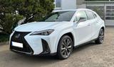 Lexus UX 250H F Sport Leder Kamera SHZ - Lexus UX Gebrauchtwagen