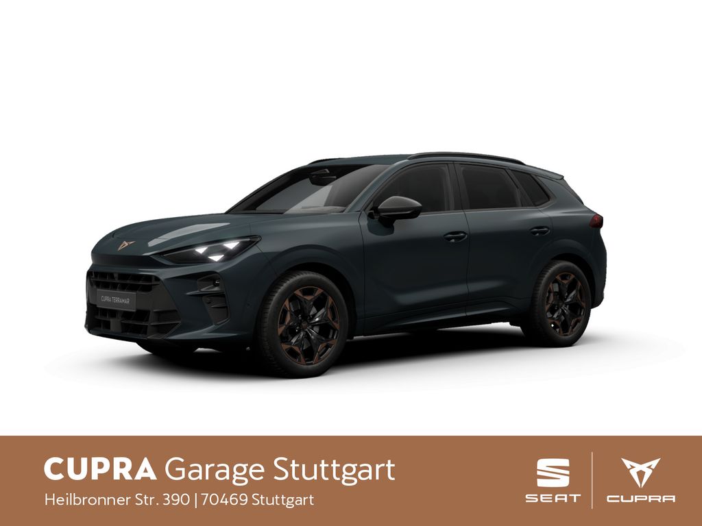 Image of Cupra Terramar