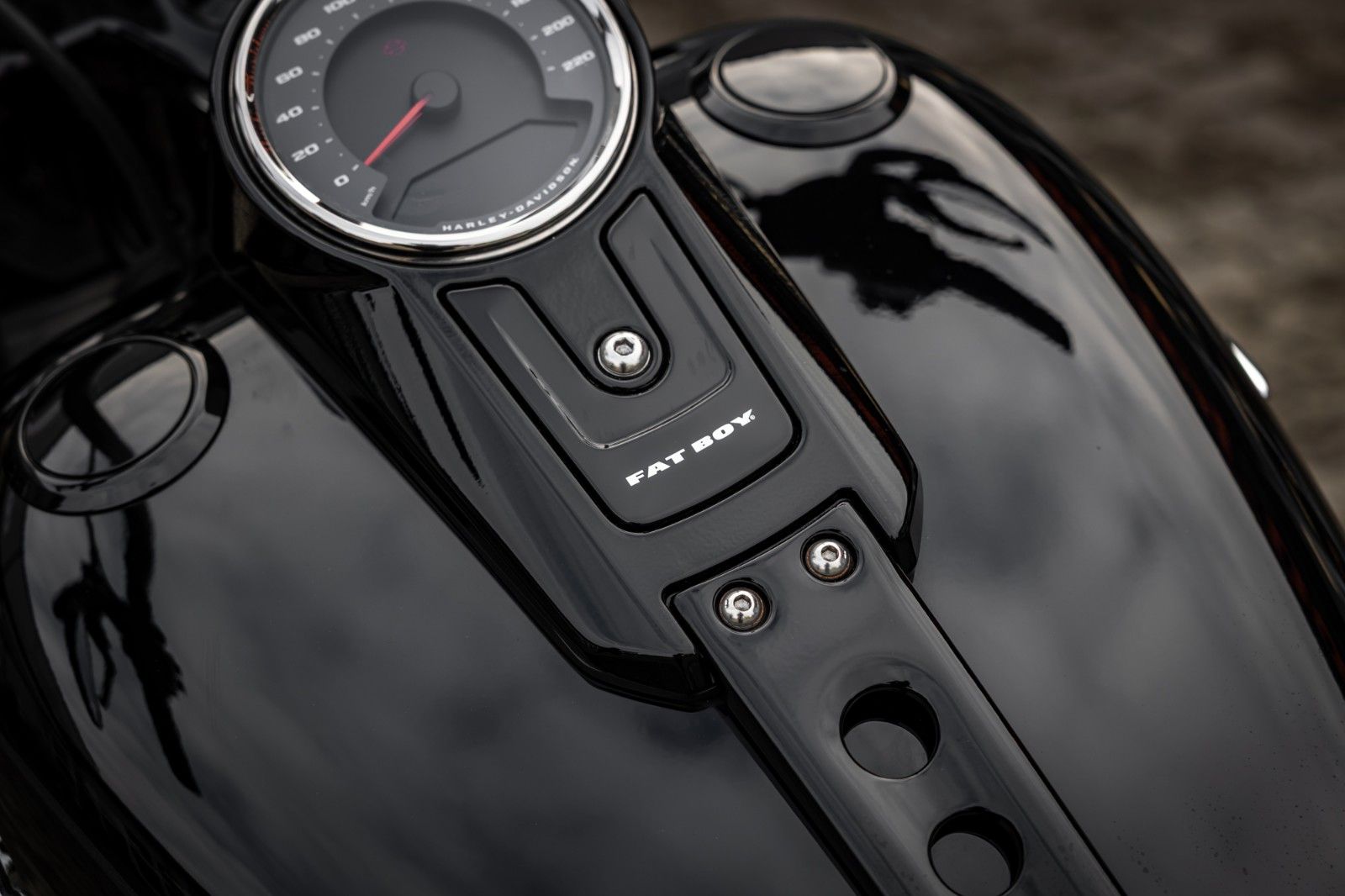 Fahrzeugabbildung Harley-Davidson FLFBS FAT BOY SOFTAIL 114 -JEKILL&HYDE-
